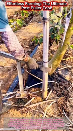 Effortless Farming: The Ultimate Post Puller Tool! 🌾✨