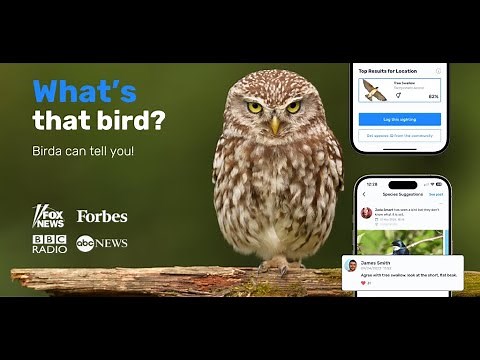 Birda Birdwatching App - Start amplifying your birding experience