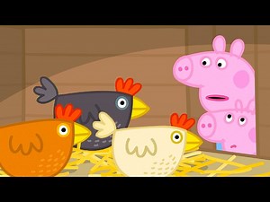 Feeding Granny's Chickens 🐔 | Peppa Pig Official Full Episodes - Videos For Kids