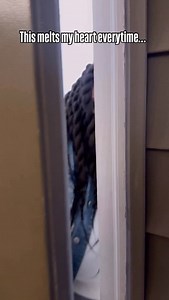 This is true love.. melts my heart every time 🥹💙 Lmaooo who else loves @chipotle this much 👀 • • #explore #foryou #workout #motivation #weightloss #journey #funny #dance #comedy #tbt | Juanita Moten