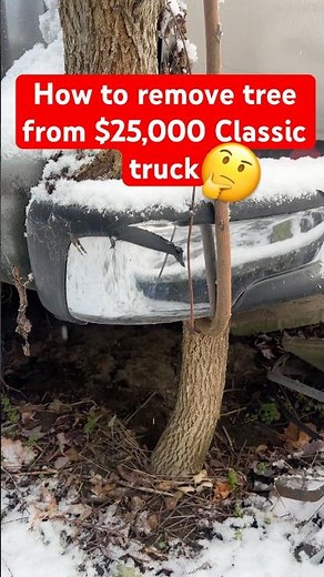 We’re Removing a TREE from this $25,000 Classic Truck