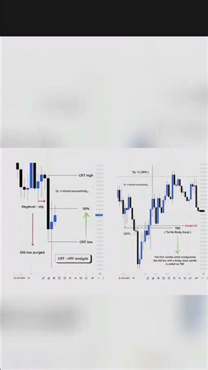 Top 5 Forex Tips for Beginners | CRT