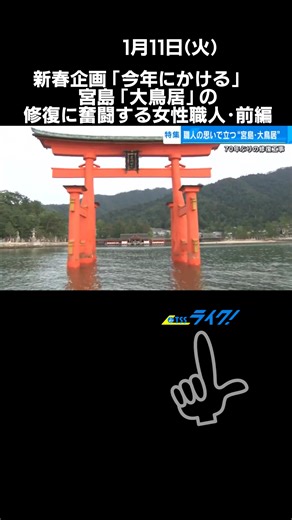 「今年にかける」をテーマにお伝えする新春企画、#宮島 #厳島神社 の「#大鳥居 」修復に奮闘する女性職人の姿を追いました。#前編 #広島県廿日市市 #一宮祐衣 #原島誠技師 #tiktokでニュース