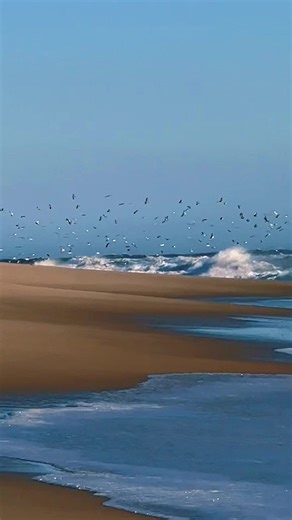 The calm before the storm.#capecodboy4life | cape cod