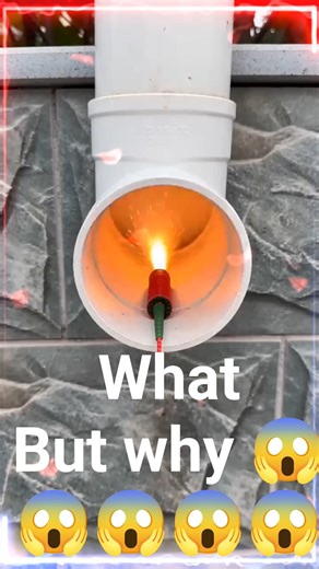 Dog Drops Firecracker in Pipe... Bathroom Chaos! #shorts #viral #shortsvideo #viralvideo #trending