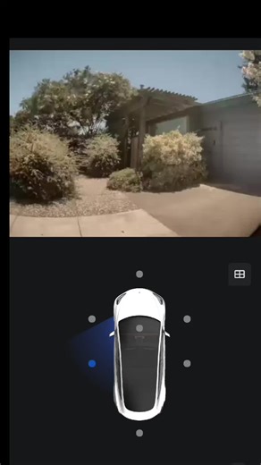 Tesla Live Sentry 360 Camera View