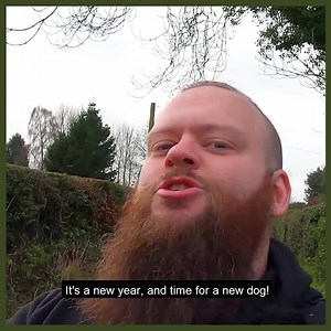 New year, new dog! Start 2021 off right by dealing with any of those bad habits that your dog has developed. Maybe they absolutely love to chew on your brand new slippers, maybe they would not stop barking at all your visitors over the holidays or maybe their stress and bad behaviour raised your own stress levels and ruined what should have been a fun and relaxing time. Its time to stop putting it off and act now. This year don’t settle for bad manners, rude behaviour and poor obedience. Instead