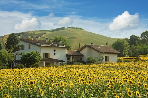 Emilia–Romagna Travel Guide - Expert Picks for your Vacation