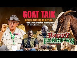 GOAT TALK - With the Biggest South Africa Hybrid Goat Breeder- Gerrie Ferreira. A MUST WATCH!