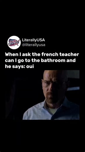 Literally USA on Instagram: "This video is a short meme that uses a scene from the TV series Breaking Bad to joke about a linguistic misunderstanding between French and English. The clip shows Walter White looking intensely at Jesse Pinkman and saying “Oui,” which in French means “yes,” but sounds like the English word “we.” Jesse reacts with a confused and suspicious look and asks, “Who’s ‘we’?” The top overlay reads, “When I ask the french teacher can I go to the bathroom and he says: oui,” re