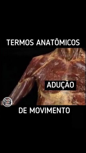 Movimentos do Ombro