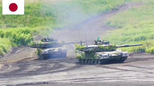 Exploring the Japan Self Defense Force