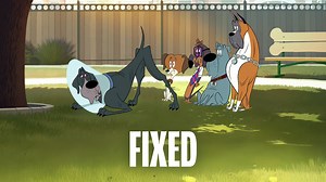 Fixed - Netflix Movie - Where To Watch