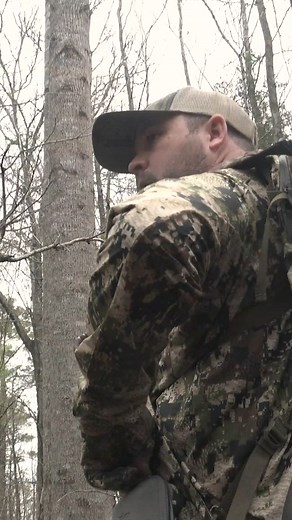 4.2K views · 53 reactions | She put on a calling clinic!  @sacjames running our “Ole Scratch” slate call and got this hen fired up! Too bad she wasn’t dragging one behind her. #StrutCommander | Strut Commander | Facebook