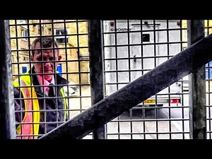 GEOAMEY DRIVER SAYS I SHOULDN'T BE FILMING!!!! - Huddersfield Police Station