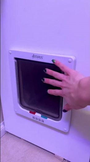 DIY Cat Litter Box Cabinet