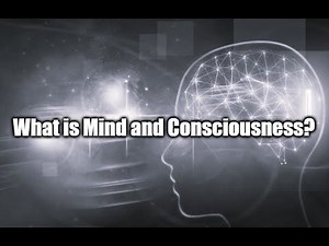 What is Mind and Consciousness?