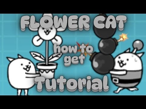 How to get the Flower Cat true form in Battle cats in 2025 ( easy )
