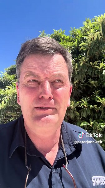 Peter John Weir (@peterjohnweir)’s videos with original sound - Peter John Weir