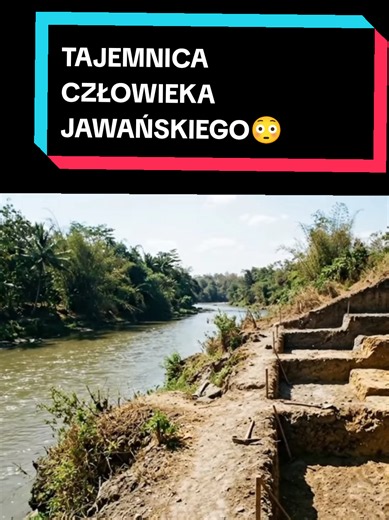 Człowiek jawajski (Homo erectus) — odkrycie z Jawy 1891