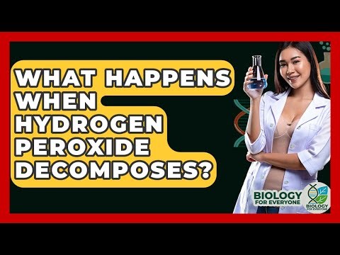 What Happens When Hydrogen Peroxide Decomposes? - Biology For Everyone