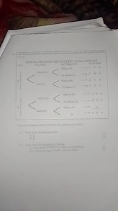 1.2 The tree diagram below shows the different options availabl... | Filo
