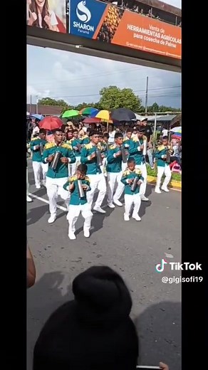 5K views · 141 reactions | Desfile de Progreso 2025 藍 | Progreso Corregimiento | Facebook