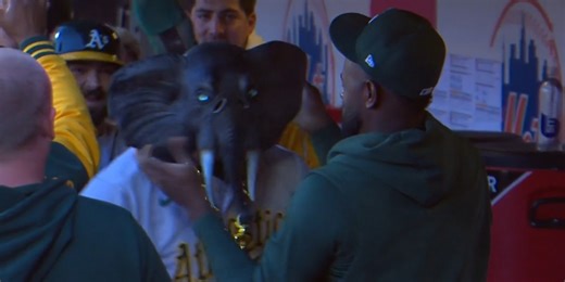 A's new home run celebration is amazing, but also somewhat terrifying