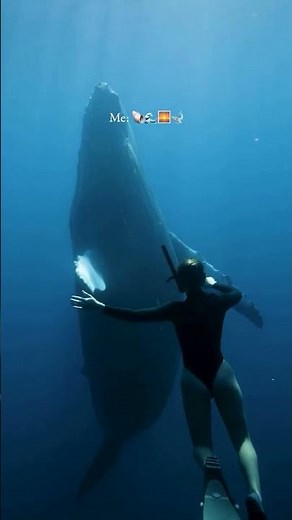 World Oceans Day | Ocean Facts Marine Life Coral Reefs Climate Protection Nature 🌊💙