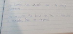 Correct the concord error in the following sentence:He imagin... | Filo