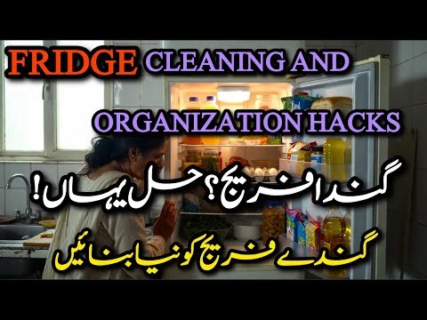 Dirty Fridge? Clean & Organize It Like This! 😲🔥