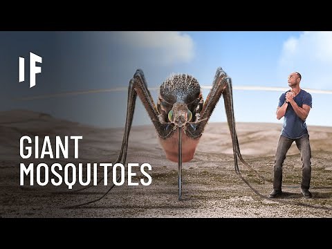 What If Mosquitoes Were the Size of Humans?
