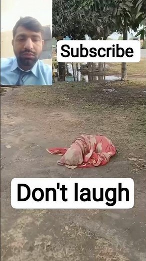"Try not to laugh Challenge 😂 | Funniest viral video 2026 | Must watch comedy clip |
