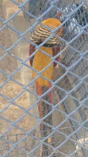 shall we date #parkseojin