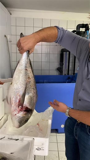 Fish Processing Techniques in a Tiled Facility