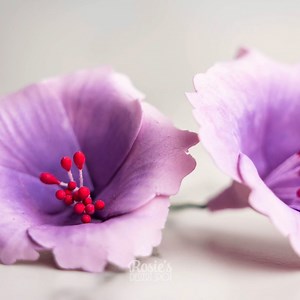 How to Make Edible Hibiscus Flowers🌺 | The Icing Artist