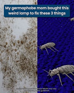 The $64 must-have for clean air and allergen-free living in 2024! | Uvlizer UVC | Facebook