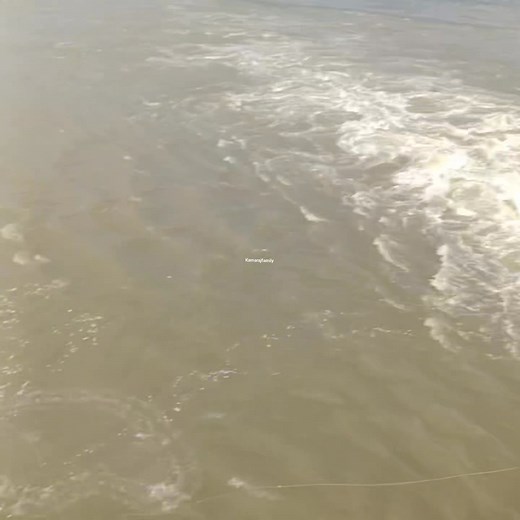 188K views · 2.8K reactions | Experience of the man dam bridge fishing hunter | Kamaraj family | Facebook