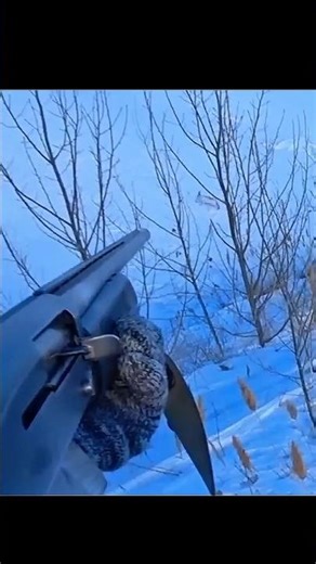 Silent steps, sharp aim 🐇🎯 #RabbitHunting #Wildhunt #hunters #hunt #deephunt