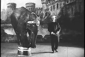 1910s Elephant Uses Trunk Ring Bell Stock Footage Video (100% Royalty-free) 26832283 | Shutterstock