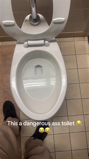 The Incredible Flush Master 3000 Toilet