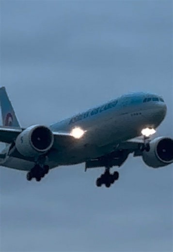 Korean Air Cargo Boeing 777 Landing on Runway 14 in ZRH Airport 😍#zürichflughafen #viral #fyyyyy #koreanaircargoboeing777 #planespotter