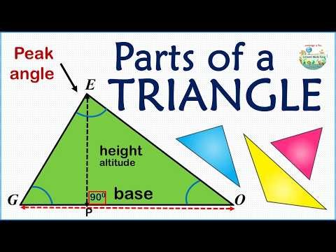 Triangle Parts Made Easy | Quick Geometry Guide