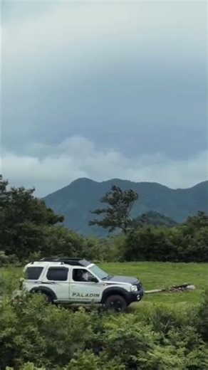 Solo Camping in a Peaceful Forest Mountain | Nature Escape