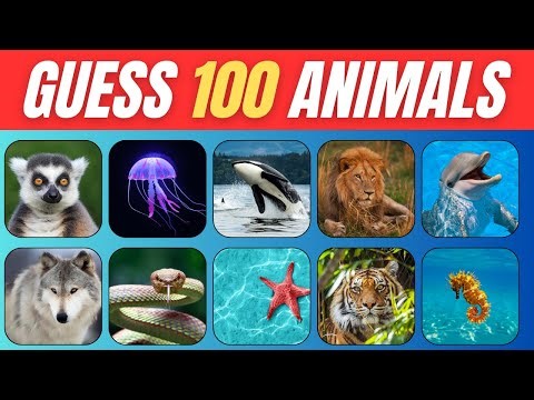 Guess 100 Animals in 3 Seconds | Easy to Impossible | Guess The Animal