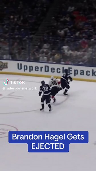 RSN - Radu's Sports Network (@radusportsnetwork) - Brandon Hagel Gets EJECTED After MASSIVE HIT on Barkov #nhl #hockey | Hockey