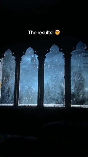 Every book girlie needs to have this in their room! 🥹📖