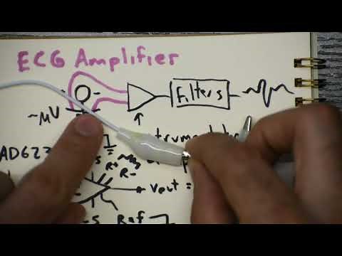 Build an ECG Amplifier
