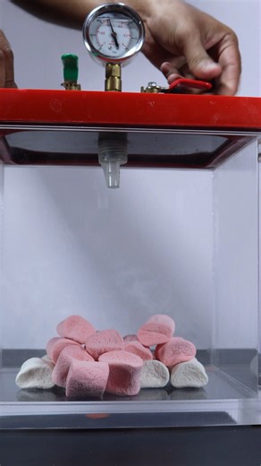 Nex lab | Vacuum Vs Marshmallow #physics #vacuum | Instagram