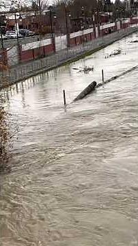Skagit River rises in downtown Mount Vernon